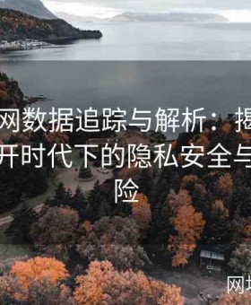 91黑料网数据追踪与解析：揭示网络信息公开时代下的隐私安全与法律风险