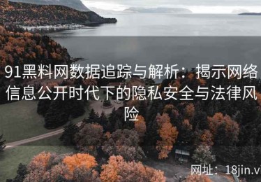91黑料网数据追踪与解析：揭示网络信息公开时代下的隐私安全与法律风险