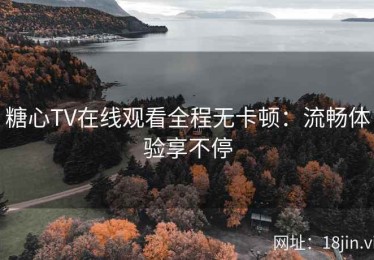 糖心TV在线观看全程无卡顿：流畅体验享不停
