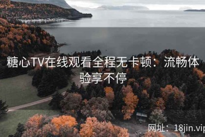 糖心TV在线观看全程无卡顿：流畅体验享不停