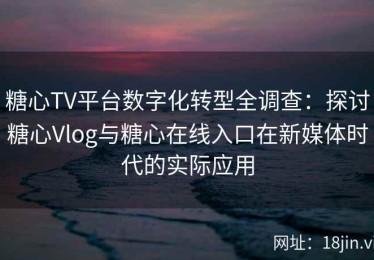 糖心TV平台数字化转型全调查：探讨糖心Vlog与糖心在线入口在新媒体时代的实际应用