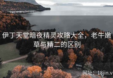 伊丁天堂暗夜精灵攻略大全，老牛嫩草与精二的区别