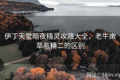 伊丁天堂暗夜精灵攻略大全，老牛嫩草与精二的区别
