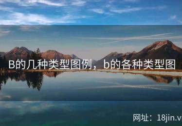 B的几种类型图例，b的各种类型图