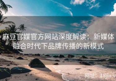 麻豆官媒官方网站深度解读：新媒体融合时代下品牌传播的新模式