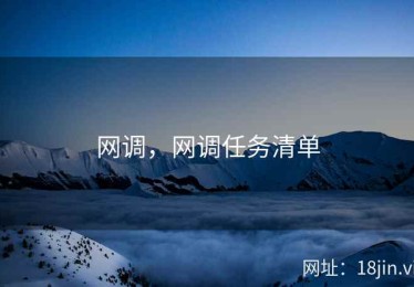 网调，网调任务清单