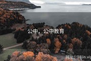 公中，公中教育