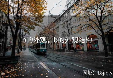 b的外观，b的外观结构