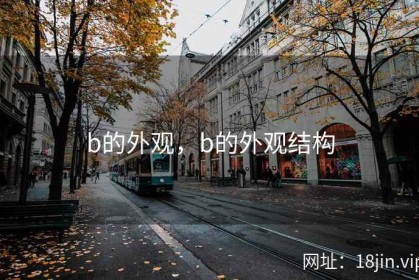 b的外观，b的外观结构