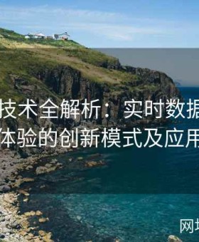 91在线技术全解析：实时数据传输与互动体验的创新模式及应用案例