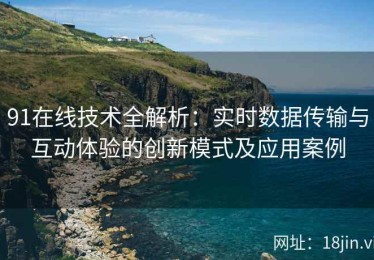 91在线技术全解析：实时数据传输与互动体验的创新模式及应用案例