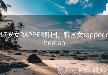 17岁女RAPPER韩国，韩国女rapper cheetah
