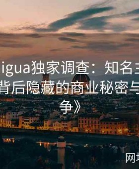 《91chigua独家调查：知名主持人突发事件背后隐藏的商业秘密与家族纷争》