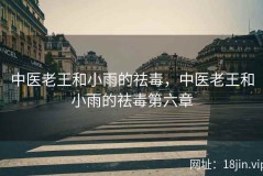 中医老王和小雨的祛毒，中医老王和小雨的祛毒第六章