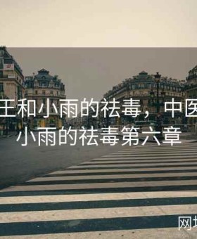 中医老王和小雨的祛毒，中医老王和小雨的祛毒第六章