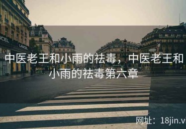 中医老王和小雨的祛毒，中医老王和小雨的祛毒第六章
