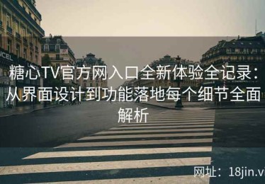 糖心TV官方网入口全新体验全记录：从界面设计到功能落地每个细节全面解析