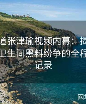 深度报道张津瑜视频内幕：揭秘吕总参与与卫生间黑料纷争的全程内幕全记录