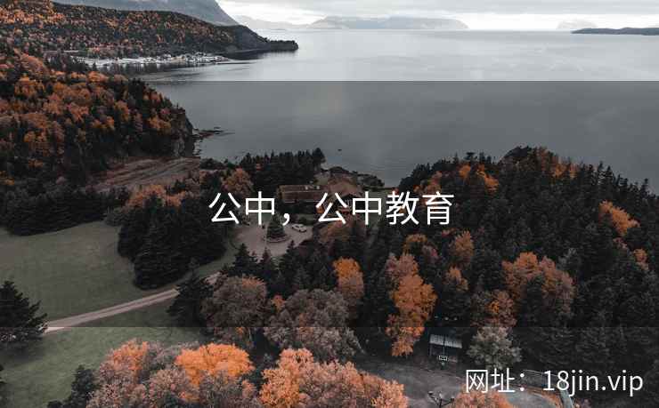 公中，公中教育