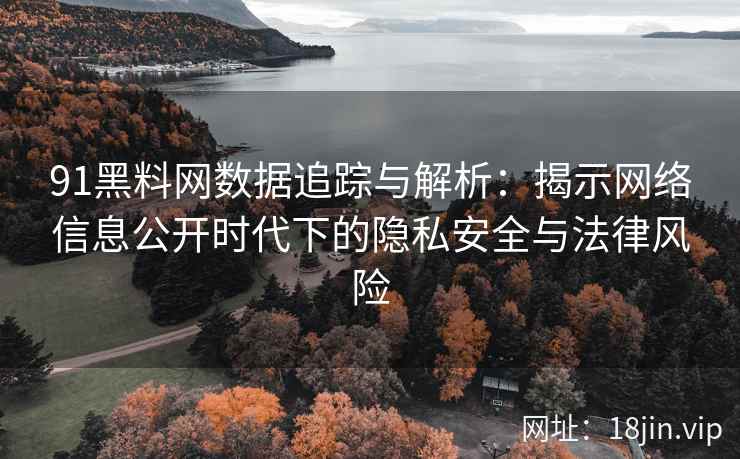 91黑料网数据追踪与解析：揭示网络信息公开时代下的隐私安全与法律风险