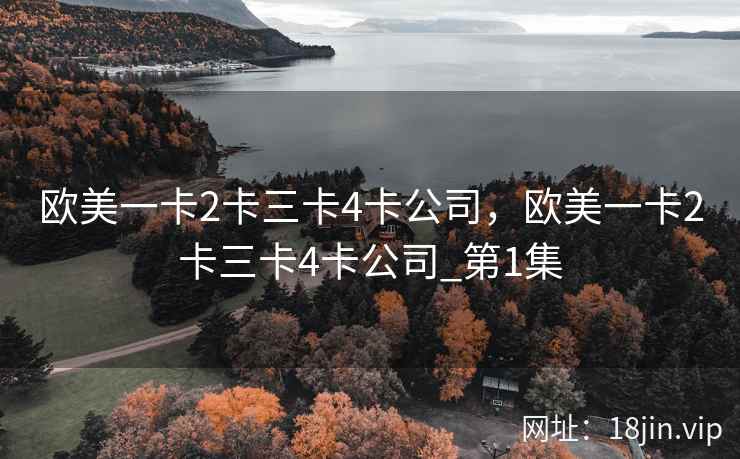 欧美一卡2卡三卡4卡公司，欧美一卡2卡三卡4卡公司_第1集