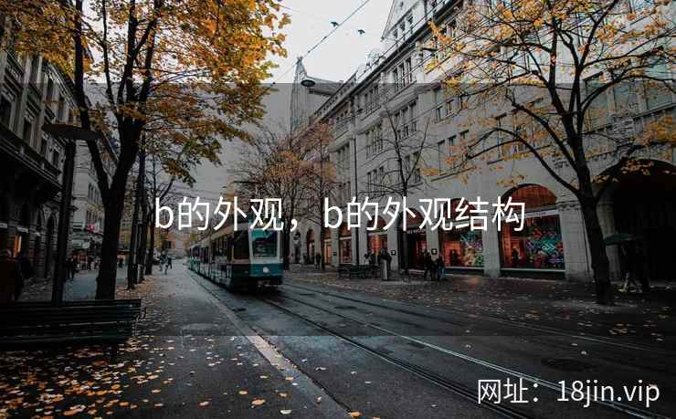 b的外观，b的外观结构
