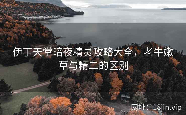 伊丁天堂暗夜精灵攻略大全，老牛嫩草与精二的区别