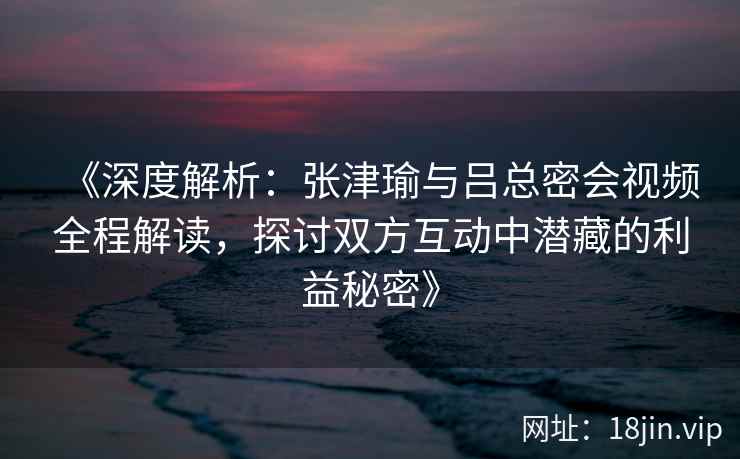 《深度解析：张津瑜与吕总密会视频全程解读，探讨双方互动中潜藏的利益秘密》