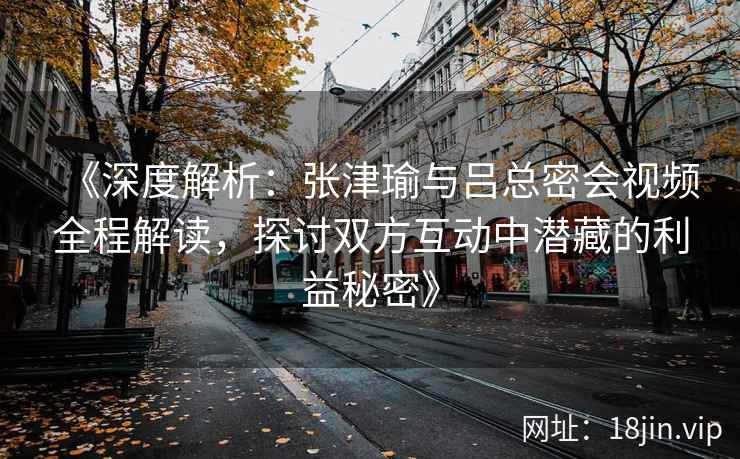 《深度解析：张津瑜与吕总密会视频全程解读，探讨双方互动中潜藏的利益秘密》